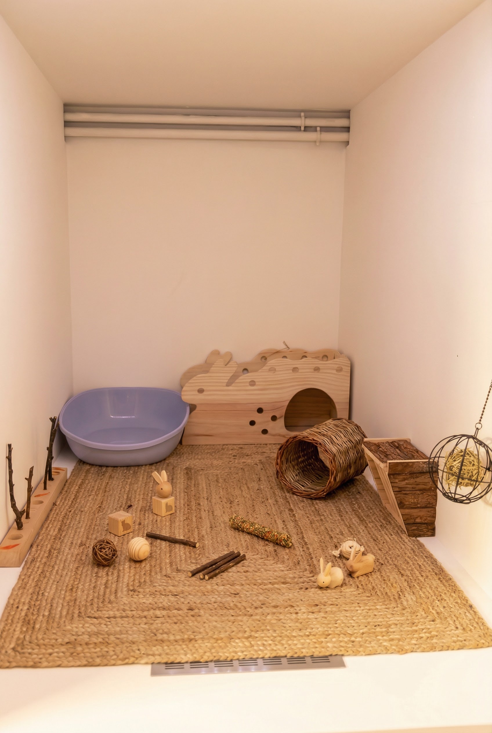 Chambre Standard Lapin